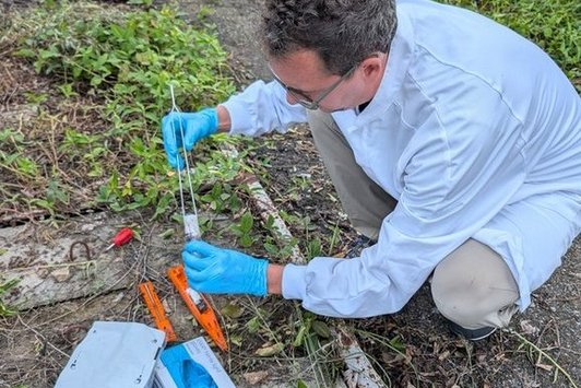 Retaining the adsorption matrix