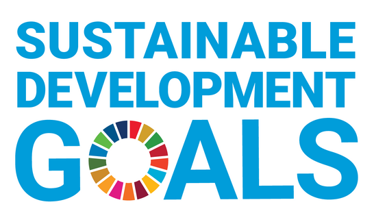 Logo Sustainable Development Goals
