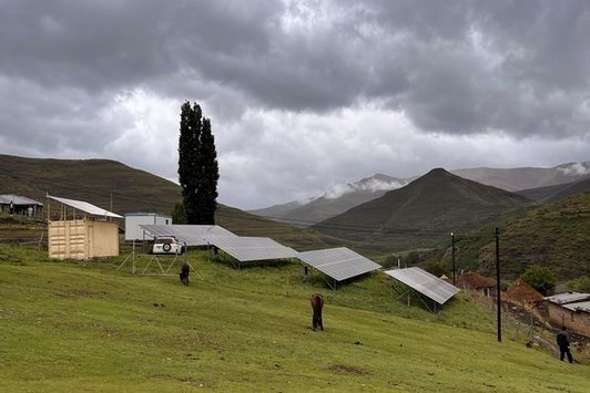 Field Study