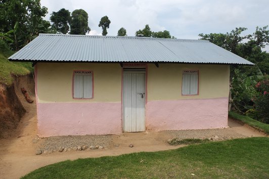 Pink and yellow house with two windows, one door and a ribbed roof in green surroundings