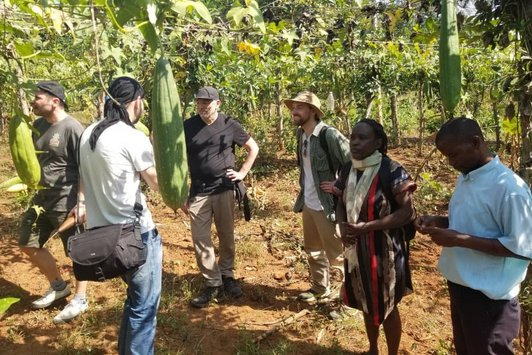 Engagement with Luffa growing communities