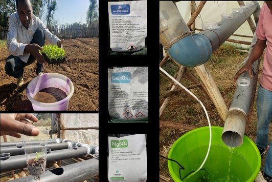 Seedling raising, transplanting, and mixing of nutrients solution and circulation of the nutrients in the pipe