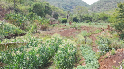 Save catchment- Study area-Zimbabwe 