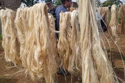 Fibre Extraction at TEXFAD Uganda