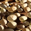 Empty bowls on the ground