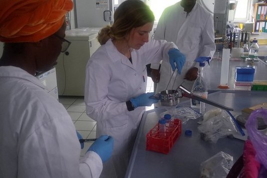 Extracting the liquid fraction from a deployed adsorption matrix from the  passive water sampler.  