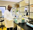 In the lab (Namibia) In the lab