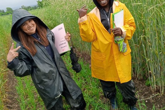Field visit