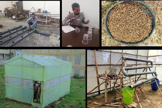 Setting up the hydroponic system using local materials such as PVC pipe, planting cup and rice husk