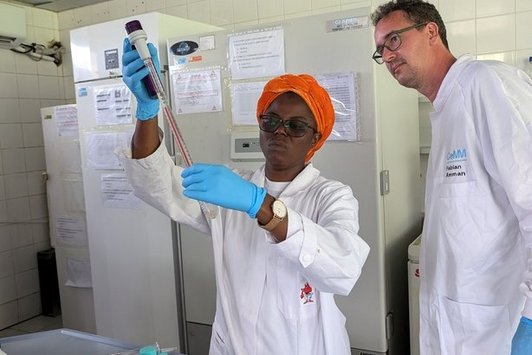 Physical virus concentration from water samples collected in and around Lambaréné.  