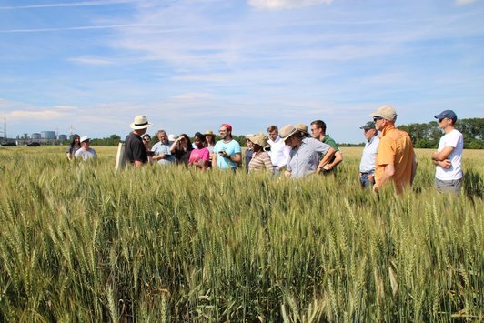 Field visit in Tulln