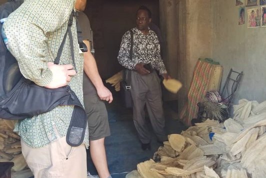 Luffa harvesting & Storage in Mpigi-Uganda