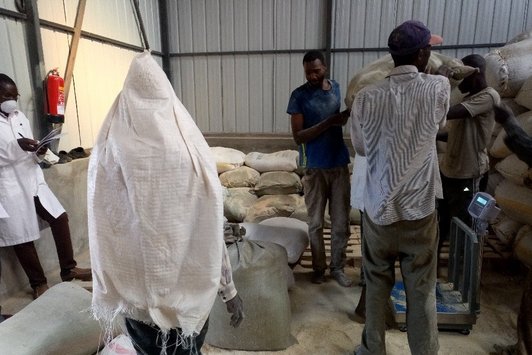 The project team visited one of the government-owned commercial fish feed production plant at KMFRI, Sangoro