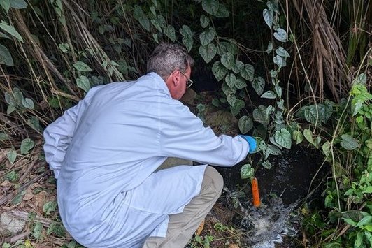 Recovery of passive water sampler