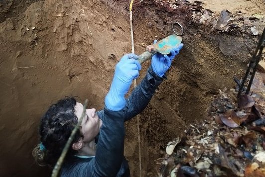 Sampling of bulk density samples with a cylindrical metal ring of known volume