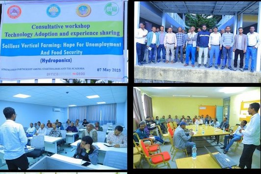 Dissemination of results with the stakeholders and the academic staff through presenting the research results, discussion and field visit