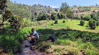 Field Study