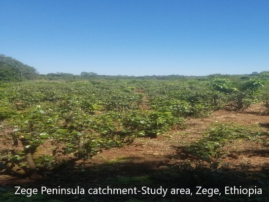 Zege Peninsula catchment-Study area-Ethiopia