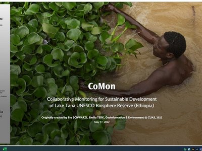 man with Water hyacinths 