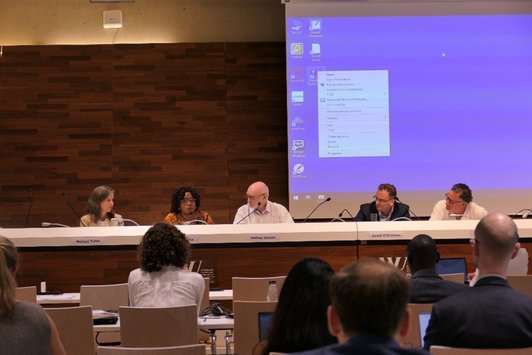 Prof. Annet at the July 2024 Tax and Good Governance Conference in Vienna