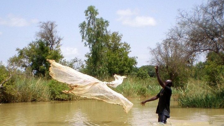 fisherman throwing a fishingnet standing in a river with brown colored water