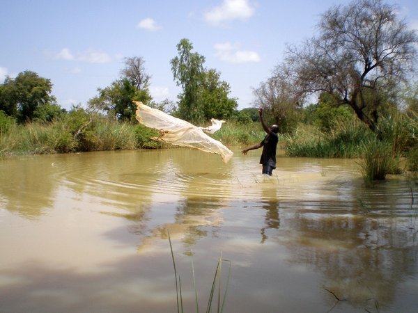 fisherman throwing a fishingnet standing in a river with brown colored water