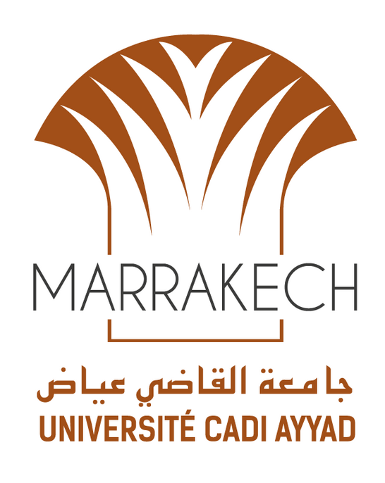 Logo Cadi Ayyad University