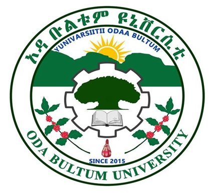 Oda Bultum University Logo