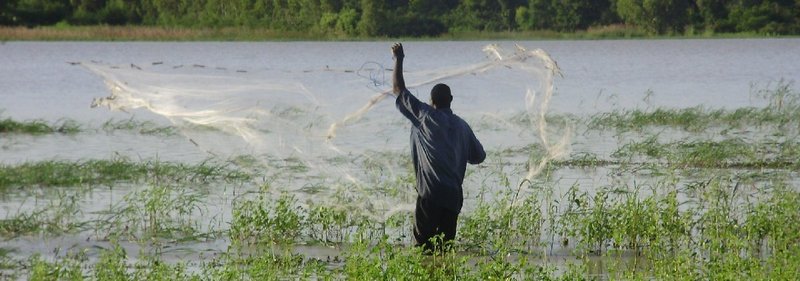 african fisherman throwing a fishingnet in a river in green environment