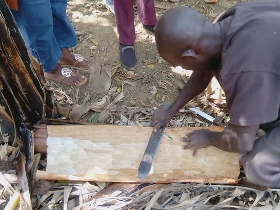 First step in production cycle of bark cloth