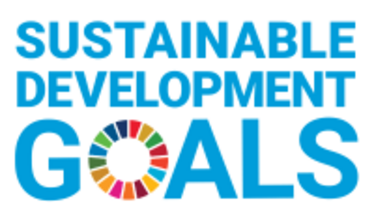 Sustainable Development Goals logo of the United Nations